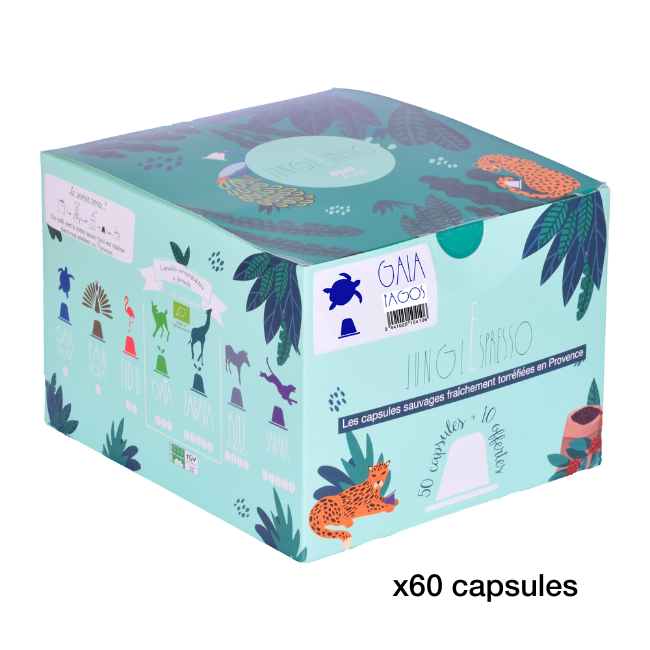 Afficher l'image n°3