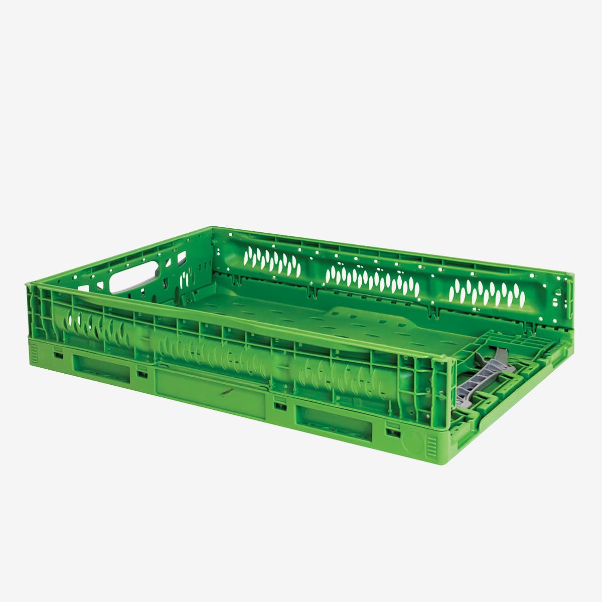 Afficher l'image n°1