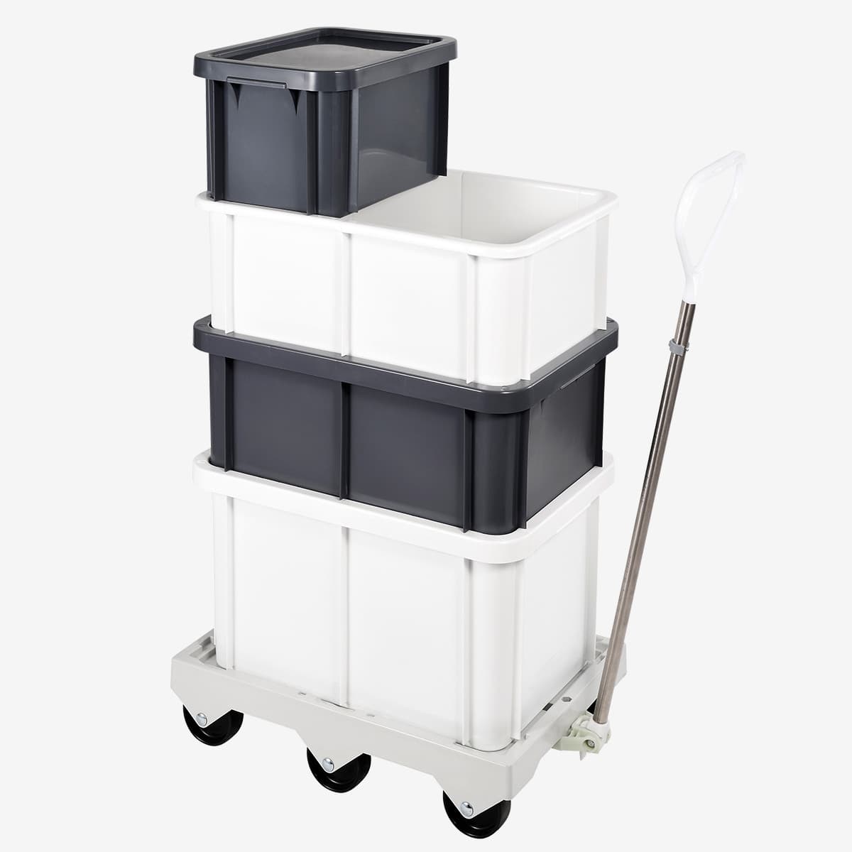 Afficher l'image n°2