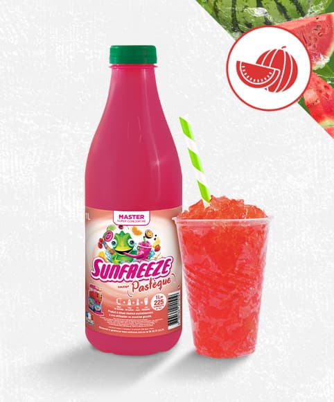 Sirop ultra-concentré pour granité, master - pasteque - 1 lot de 6