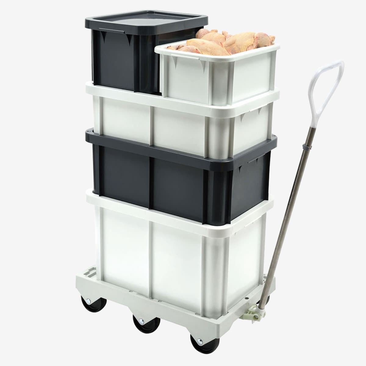 Afficher l'image n°3