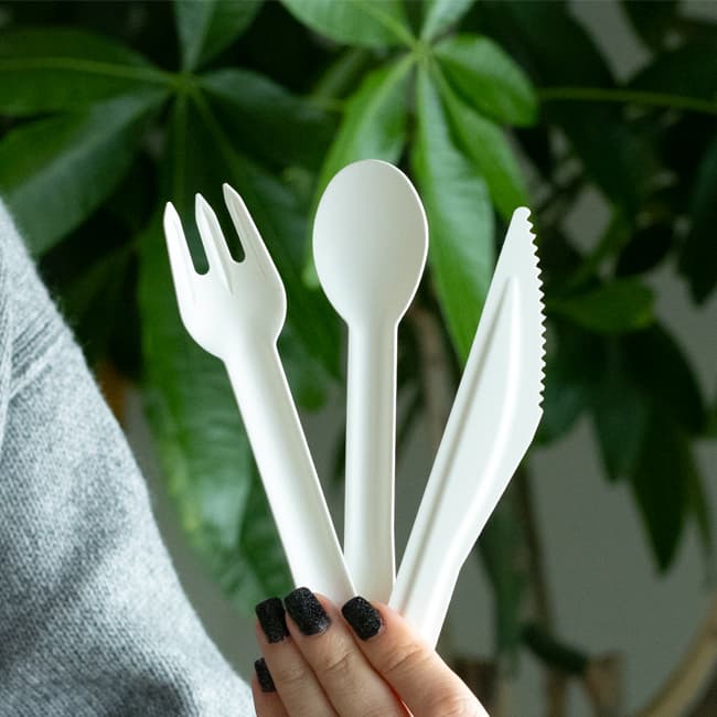 Afficher l'image n°2