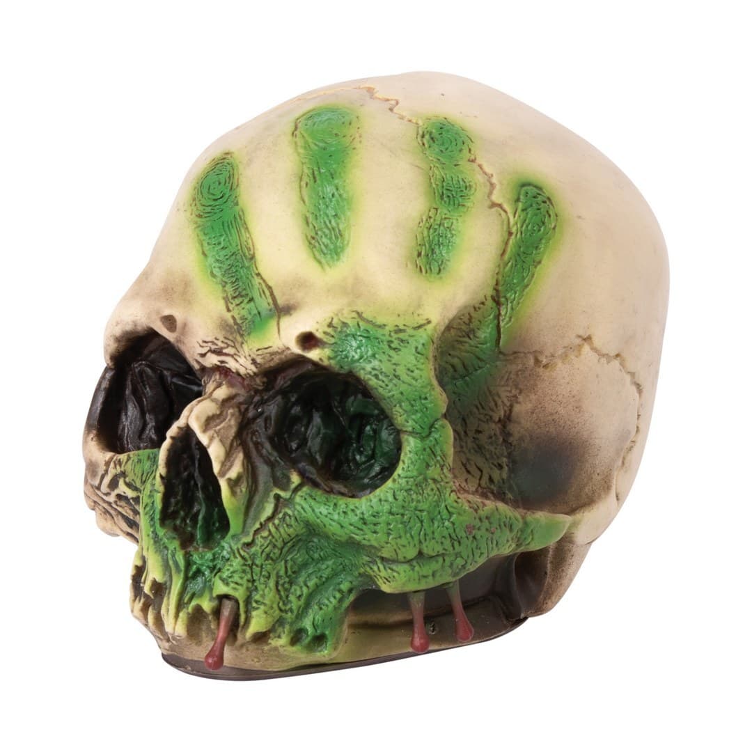 Afficher l'image n°1