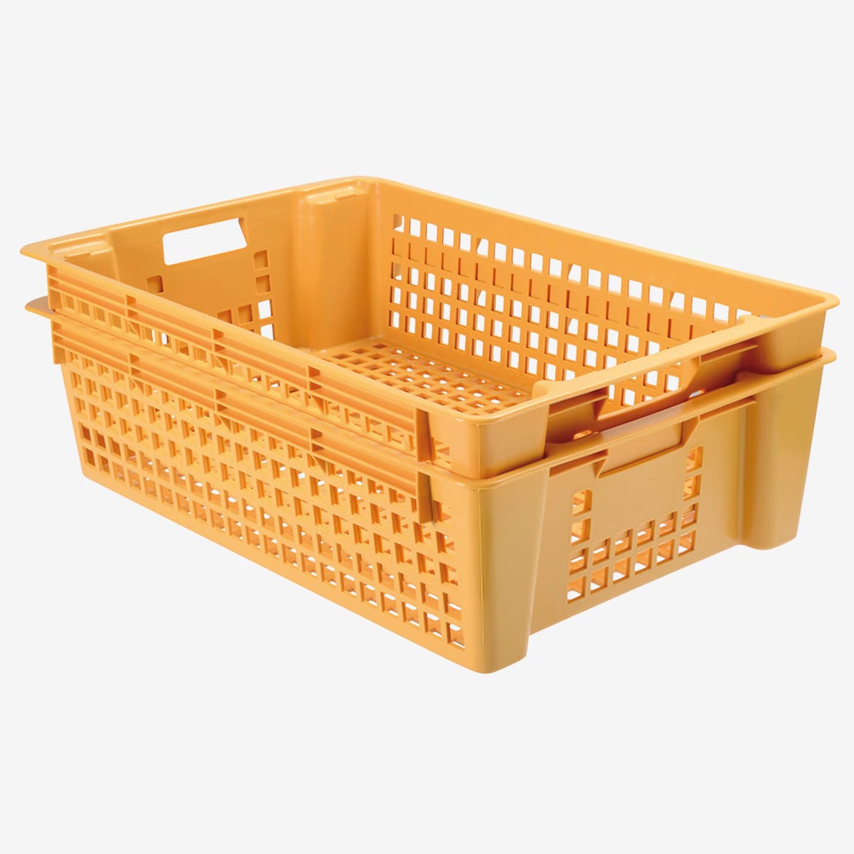 Afficher l'image n°2