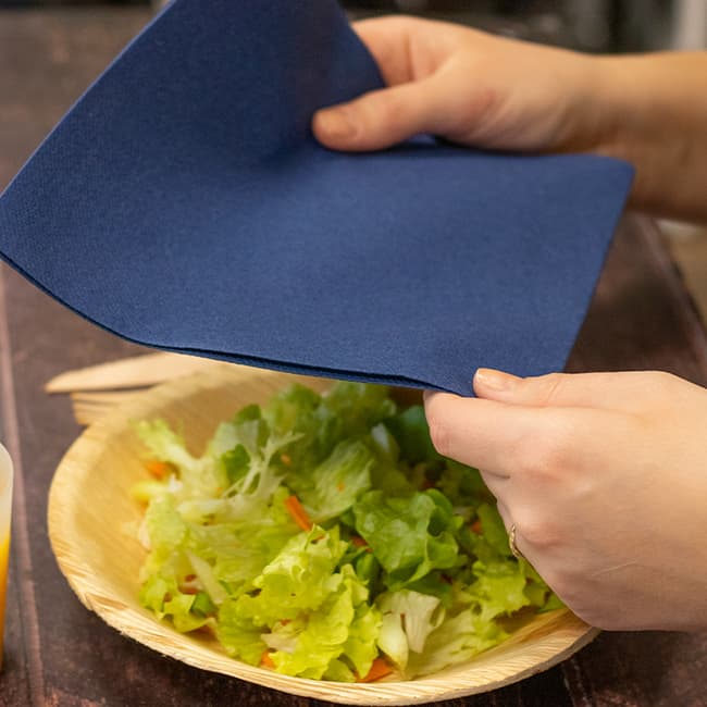 Afficher l'image n°1