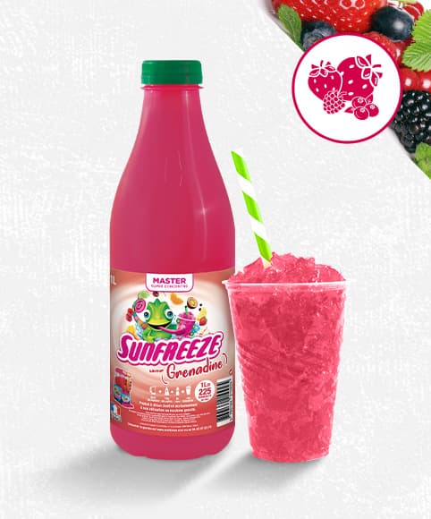 Sirop ultra-concentré pour granité, master - grenadine - 1 lot de 6