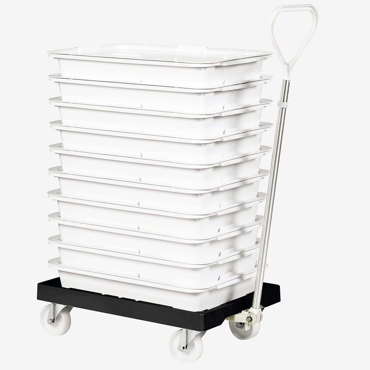 Afficher l'image n°3