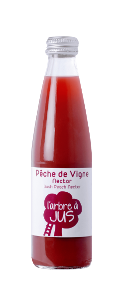 Nectar de pêche de vigne 25cl vendu par 20