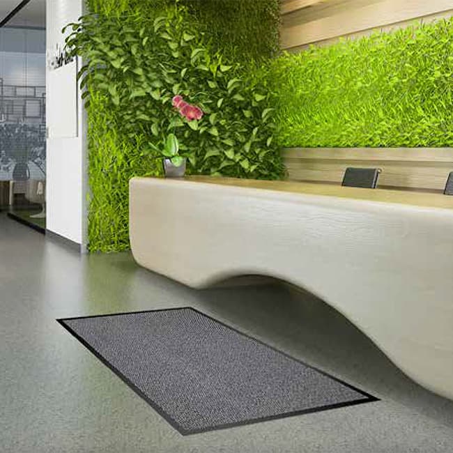 Afficher l'image n°1