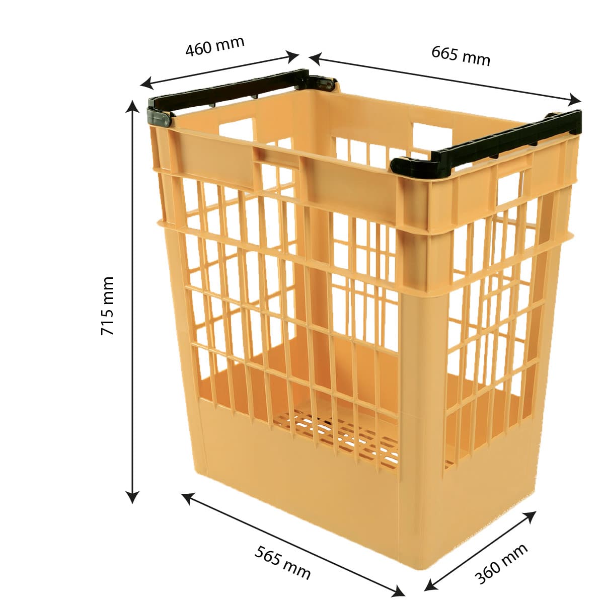 Afficher l'image n°2