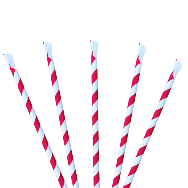 Pailles cuillères carton pour granités sunfreeze - lot de 2000