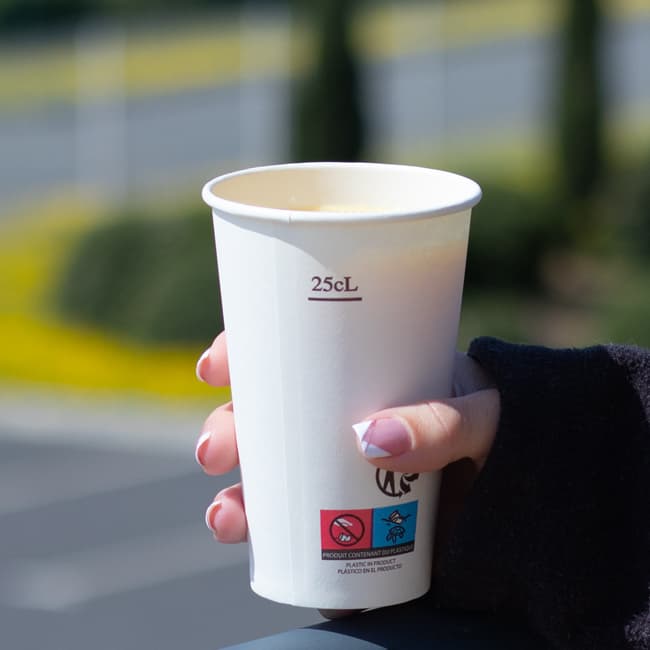 Afficher l'image n°2