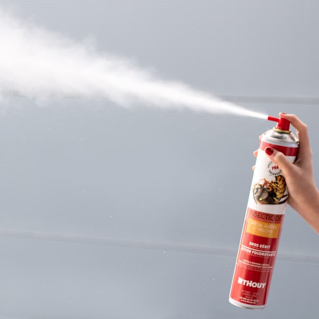 Afficher l'image n°1