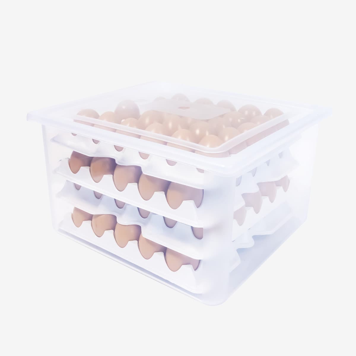 Boîte à œufs gn2/3 - 120 œufs - 8 alvéoles - blanc