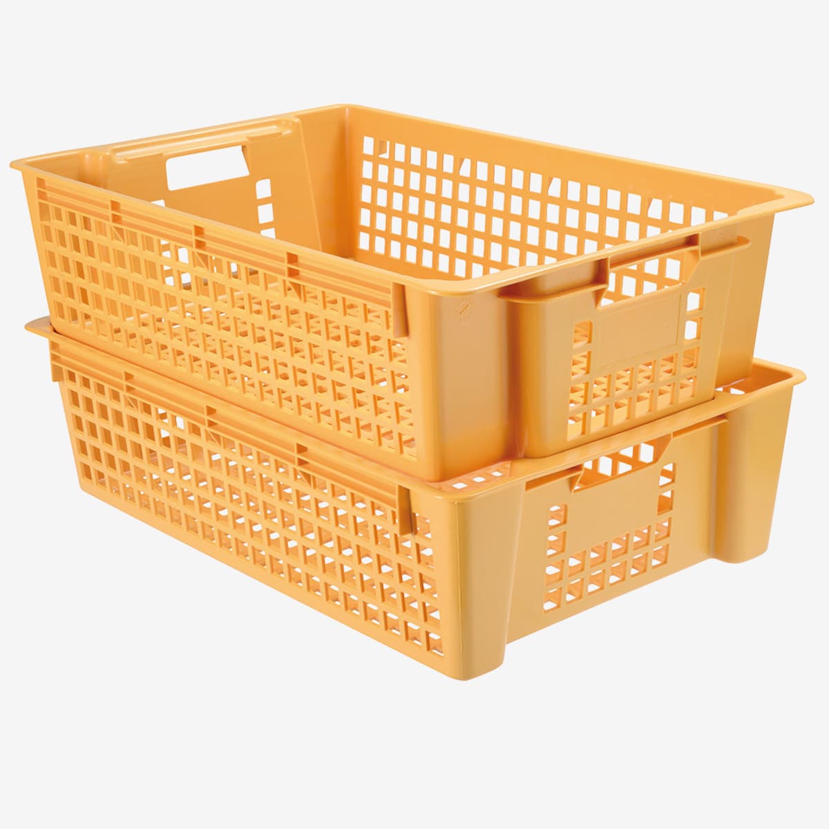 Afficher l'image n°1